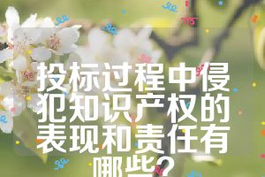 投标过程中侵犯知识产权的表现和责任有哪些？