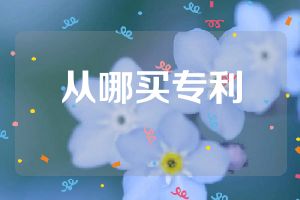 从哪买专利