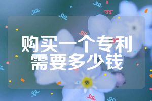 购买一个专利需要多少钱