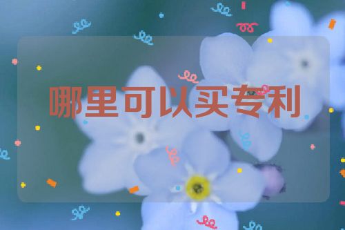 哪里可以买专利  第1张