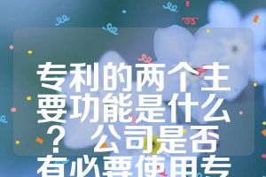 专利的两个主要功能是什么？ 公司是否有必要使用专利来建立专利壁垒？