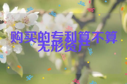 购买的专利算不算无形资产