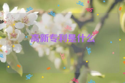 高新专利是什么