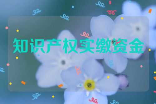 知识产权实缴资金