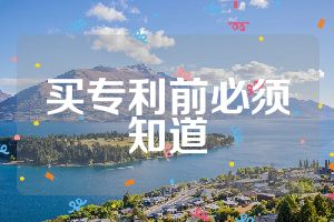 买专利前必须知道