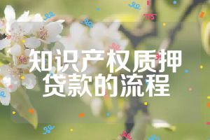 知识产权质押贷款的流程