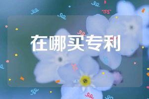 在哪买专利