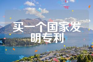 买一个国家发明专利