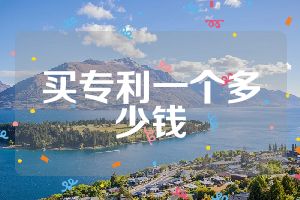买专利一个多少钱