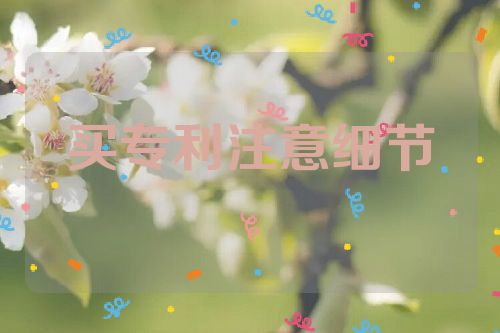 买专利，如何注意细节  个人买专利 专利好处 专利的好处 专利的价值 第1张