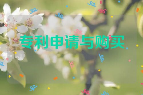 专利申请与购买的利弊分析  第1张