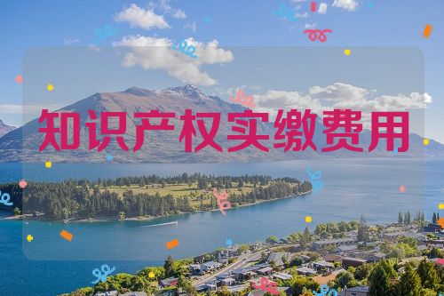 知识产权实缴费用