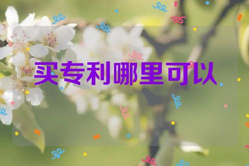 想买专利在哪里可以了解  第1张