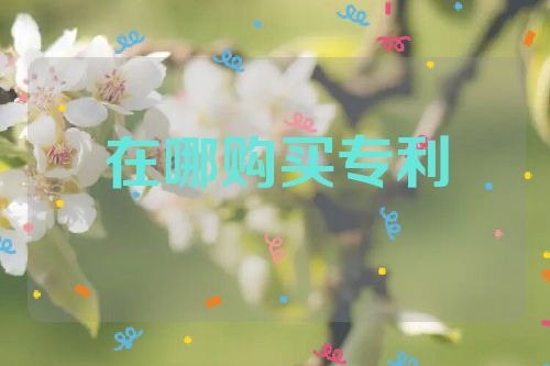 在哪购买专利  第1张