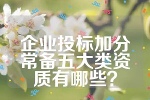 企业投标加分常备五大类资质有哪些？