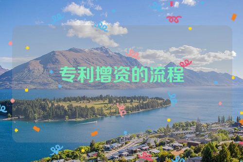 专利增资的流程