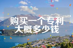 购买一个专利大概多少钱