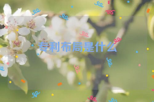 专利布局是什么