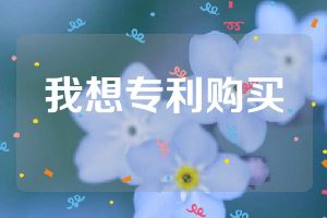 我想专利购买