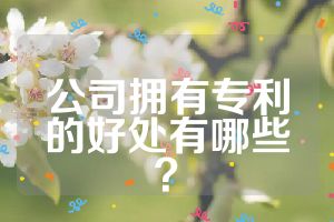 公司拥有专利的好处有哪些？