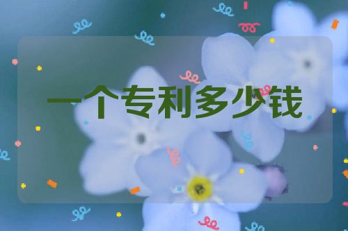 一个专利多少钱  第1张