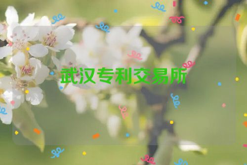 武汉专利交易所