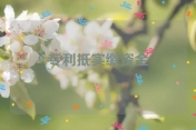 专利抵实缴资金