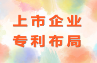 专利布局实施步骤，专利布局实施步骤有哪些