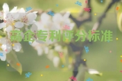 高企专利评分标准